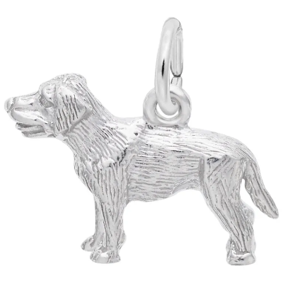 Sterling Labrador Retriever Charm 