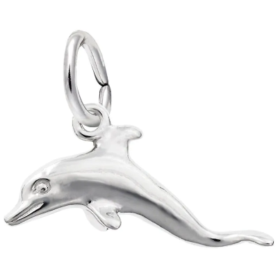 Sterling Dolphin Charm 